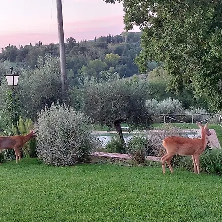 Villa Il Poggio - Luxury In Tuscany